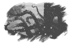 Иллюстрация к книге — Правдивая история про девочку Эмили и морское чудовище [g03.jpg]