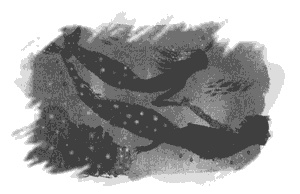 Иллюстрация к книге — Правдивая история про девочку Эмили и морское чудовище [g08.jpg]