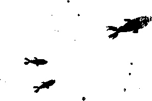 Иллюстрация к книге — Правдивая история про девочку Эмили и морское чудовище [img04.jpg]