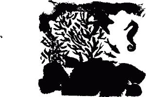 Иллюстрация к книге — Правдивая история про девочку Эмили и морское чудовище [img05.jpg]