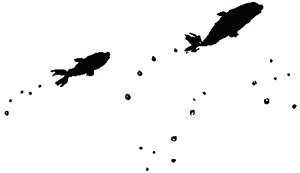 Иллюстрация к книге — Правдивая история про девочку Эмили и морское чудовище [img18.jpg]