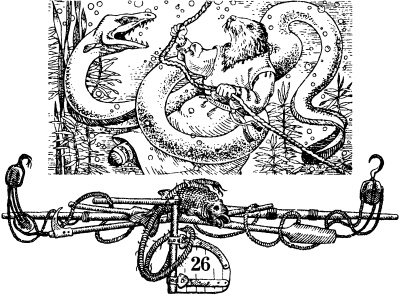 Иллюстрация к книге — Остров королевы [i_058.jpg]