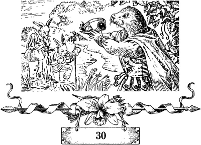 Иллюстрация к книге — Остров королевы [i_066.jpg]