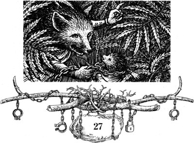 Иллюстрация к книге — Непобедимая Моди [i_054.jpg]