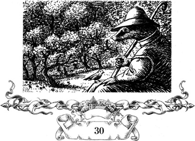 Иллюстрация к книге — Непобедимая Моди [i_059.jpg]