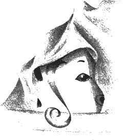 Иллюстрация к книге — Нина. Девочка Шестой Луны [img84.jpg]