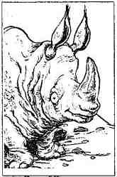 Иллюстрация к книге — Опасный рейс [i_184.jpg]