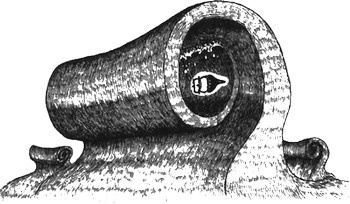 Иллюстрация к книге — 13 1/2 жизней капитана по имени Синий Медведь [i_007.jpg]