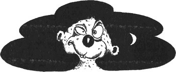 Иллюстрация к книге — 13 1/2 жизней капитана по имени Синий Медведь [i_021.jpg]