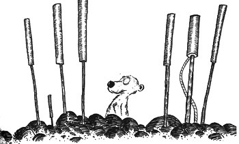 Иллюстрация к книге — 13 1/2 жизней капитана по имени Синий Медведь [i_032.jpg]