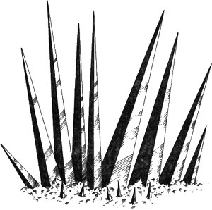 Иллюстрация к книге — 13 1/2 жизней капитана по имени Синий Медведь [i_047.jpg]