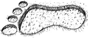 Иллюстрация к книге — 13 1/2 жизней капитана по имени Синий Медведь [i_048.jpg]