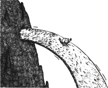 Иллюстрация к книге — 13 1/2 жизней капитана по имени Синий Медведь [i_073.jpg]