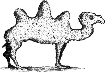 Иллюстрация к книге — 13 1/2 жизней капитана по имени Синий Медведь [i_088.jpg]