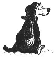 Иллюстрация к книге — 13 1/2 жизней капитана по имени Синий Медведь [i_090.jpg]