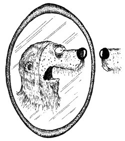 Иллюстрация к книге — 13 1/2 жизней капитана по имени Синий Медведь [i_108.jpg]