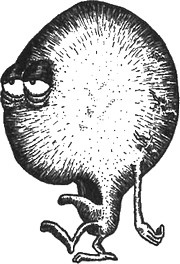 Иллюстрация к книге — 13 1/2 жизней капитана по имени Синий Медведь [i_115.jpg]