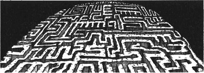 Иллюстрация к книге — 13 1/2 жизней капитана по имени Синий Медведь [i_117.jpg]