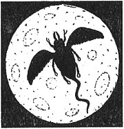 Иллюстрация к книге — 13 1/2 жизней капитана по имени Синий Медведь [i_140.jpg]