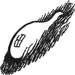 Иллюстрация к книге — 13 1/2 жизней капитана по имени Синий Медведь [i_166.jpg]