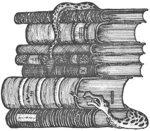 Иллюстрация к книге — Город Мечтающих Книг [i_065.jpg]