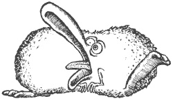 Иллюстрация к книге — Город Мечтающих Книг [i_092.jpg]