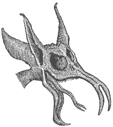 Иллюстрация к книге — Город Мечтающих Книг [i_102.jpg]