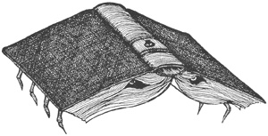 Иллюстрация к книге — Город Мечтающих Книг [i_111.jpg]