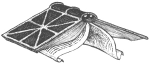 Иллюстрация к книге — Город Мечтающих Книг [i_122.jpg]