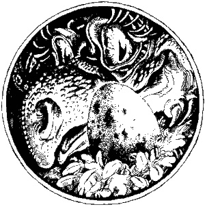 Иллюстрация к книге — Магия в скорлупе [i_012.jpg]