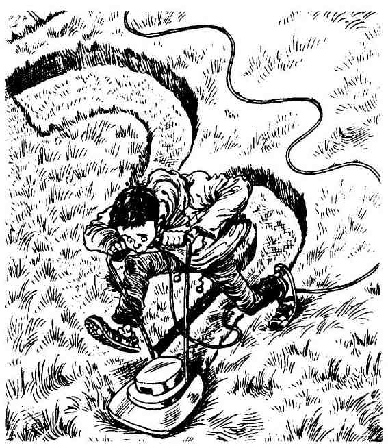 Иллюстрация к книге — Пришельцы развлекаются [i_033.jpg]