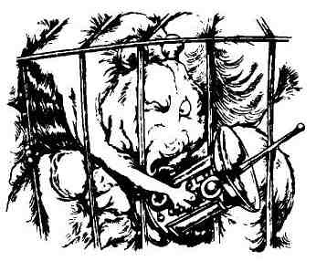 Иллюстрация к книге — Пришельцы развлекаются [i_046.jpg]