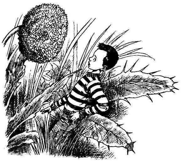 Иллюстрация к книге — Пришельцы развлекаются [i_053.jpg]