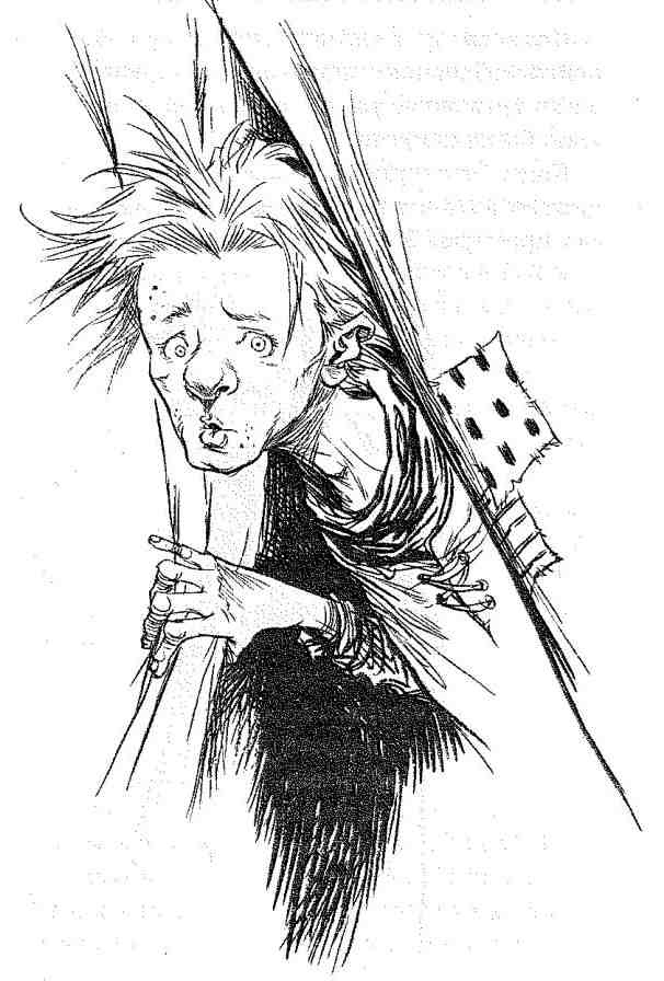 Иллюстрация к книге — Вольный рыцарь [i_017.jpg]