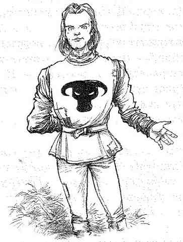 Иллюстрация к книге — Вольный рыцарь [i_021.jpg]