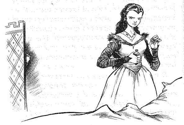 Иллюстрация к книге — Вольный рыцарь [i_039.jpg]