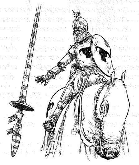 Иллюстрация к книге — Вольный рыцарь [i_049.jpg]