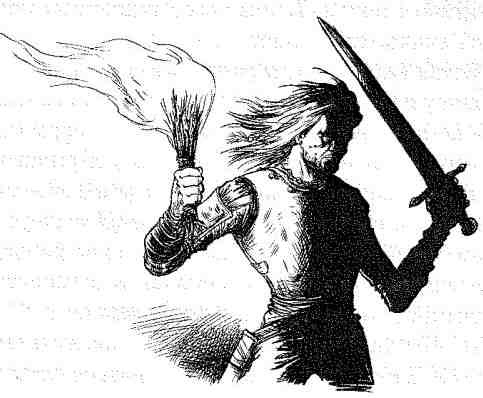 Иллюстрация к книге — Вольный рыцарь [i_073.jpg]