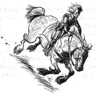 Иллюстрация к книге — Вольный рыцарь [i_089.jpg]