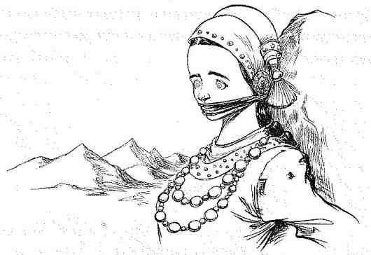 Иллюстрация к книге — Вольный рыцарь [i_092.jpg]