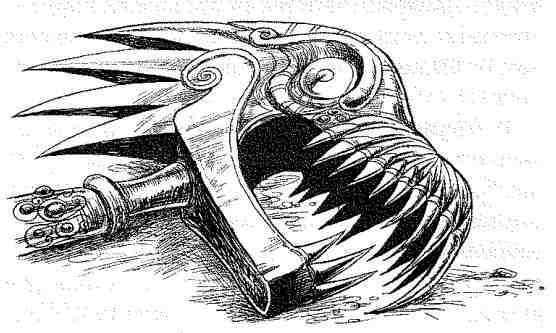 Иллюстрация к книге — Вольный рыцарь [i_111.jpg]