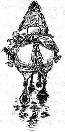 Иллюстрация к книге — Вольный рыцарь [i_122.jpg]