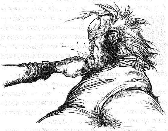 Иллюстрация к книге — Вольный рыцарь [i_127.jpg]