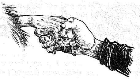 Иллюстрация к книге — Вольный рыцарь [i_133.jpg]