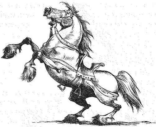 Иллюстрация к книге — Вольный рыцарь [i_136.jpg]