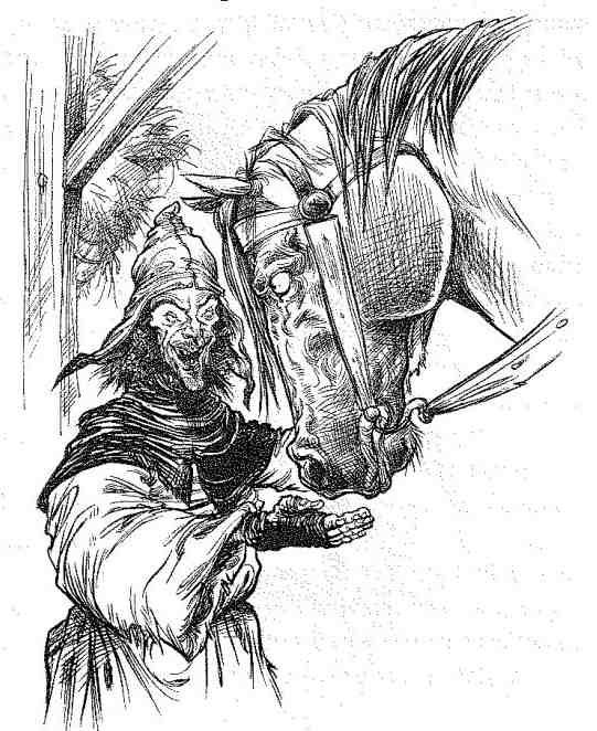 Иллюстрация к книге — Вольный рыцарь [i_137.jpg]