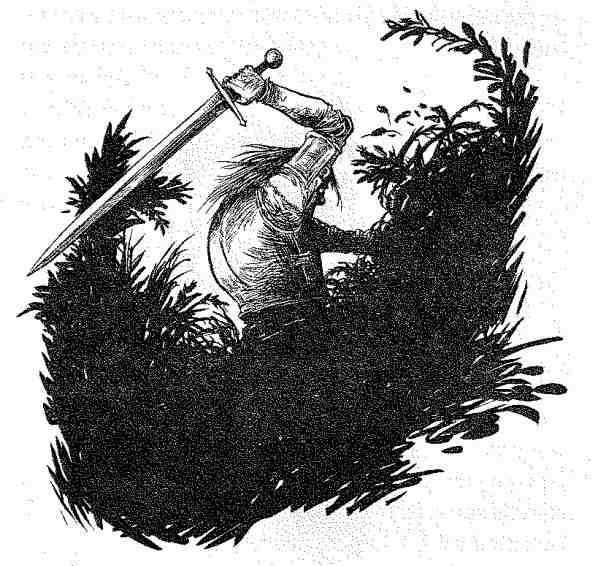 Иллюстрация к книге — Вольный рыцарь [i_139.jpg]