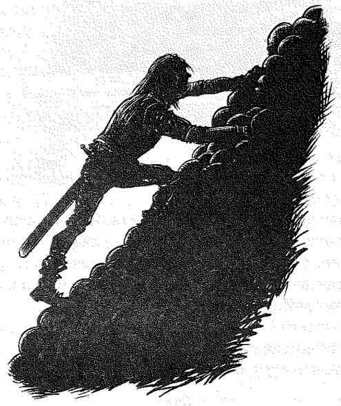 Иллюстрация к книге — Вольный рыцарь [i_145.jpg]