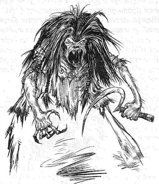 Иллюстрация к книге — Вольный рыцарь [i_147.jpg]