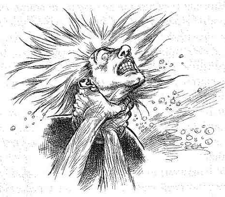 Иллюстрация к книге — Вольный рыцарь [i_153.jpg]